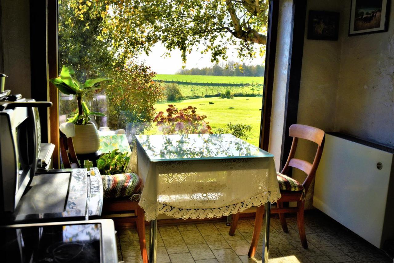 Maison Jeanny, Full House With Big Garden Frasnes-lez-Anvaing Dış mekan fotoğraf